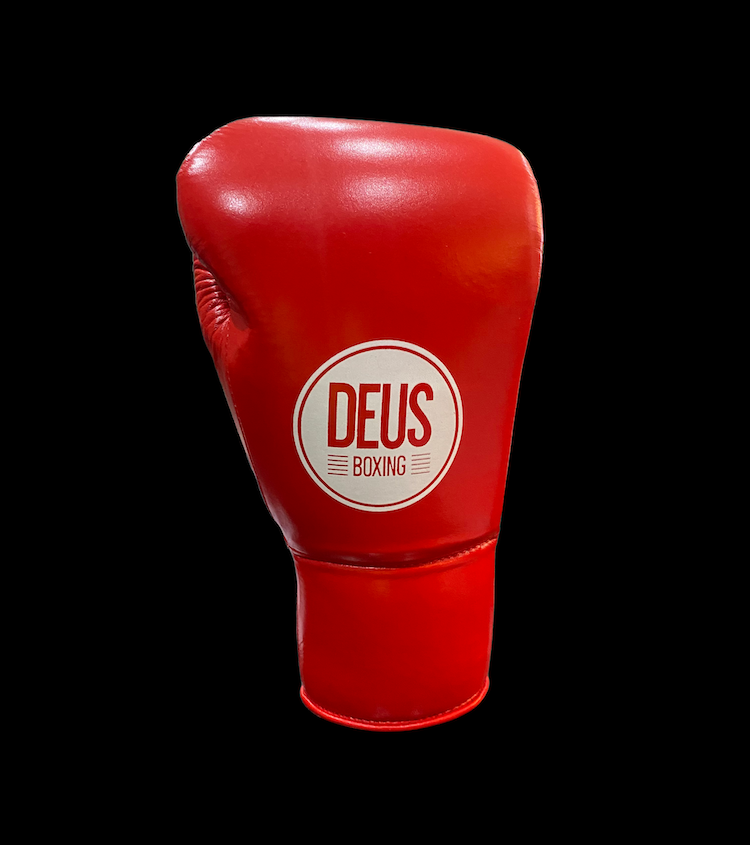 Sparta Velcro Glove image 1
