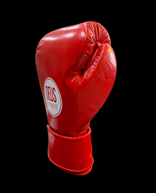 Sparta Velcro Glove image 0